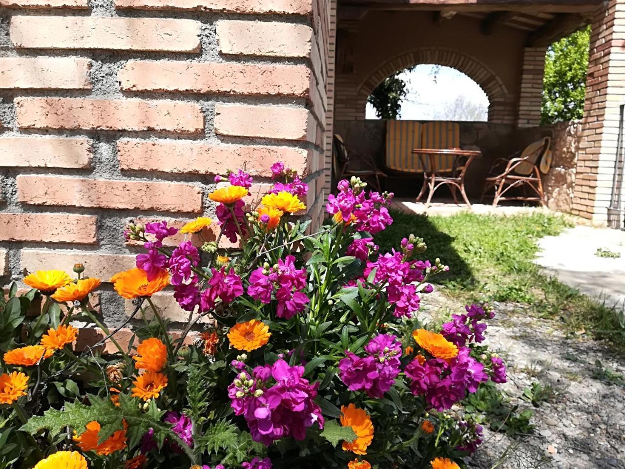 Country House El Permanyer Olost Exteriör bild